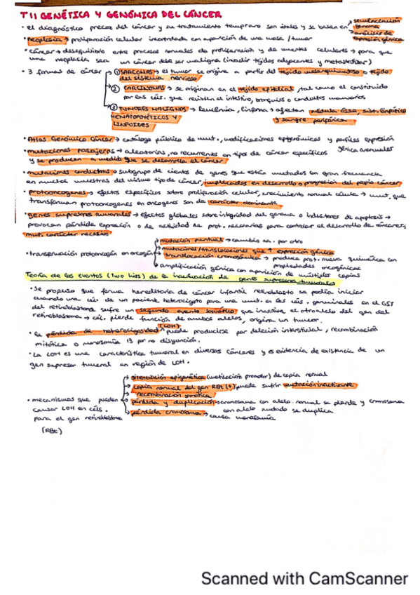Miniatura del documento T11-RESUMEN-GENETICA-Y-GENOMICA-DEL-CANCER.pdf