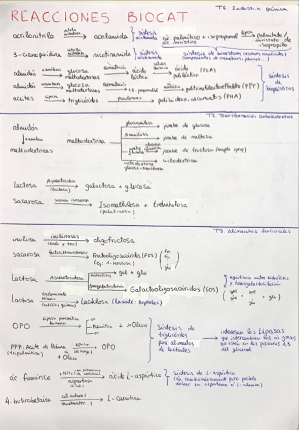 Miniatura del documento Reacciones-Biocat.pdf
