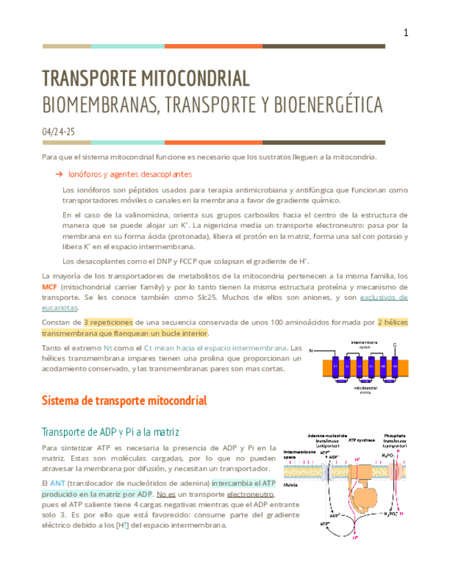 Miniatura del documento T11BTB.pdf