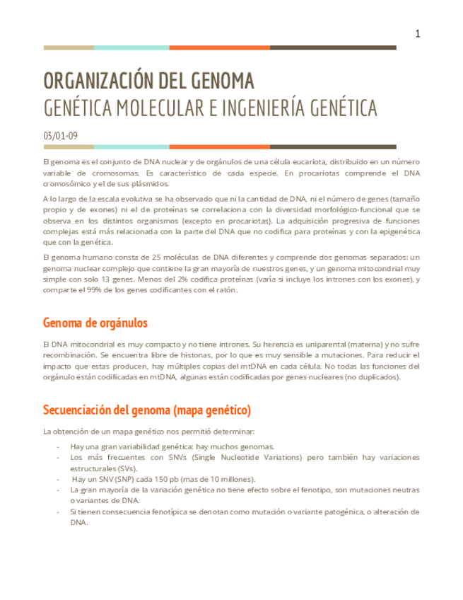 Miniatura del documento T2.1-GM.pdf