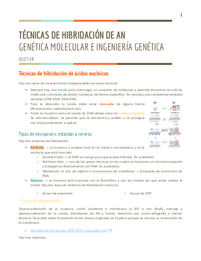Miniatura del documento T1.4-GM.pdf