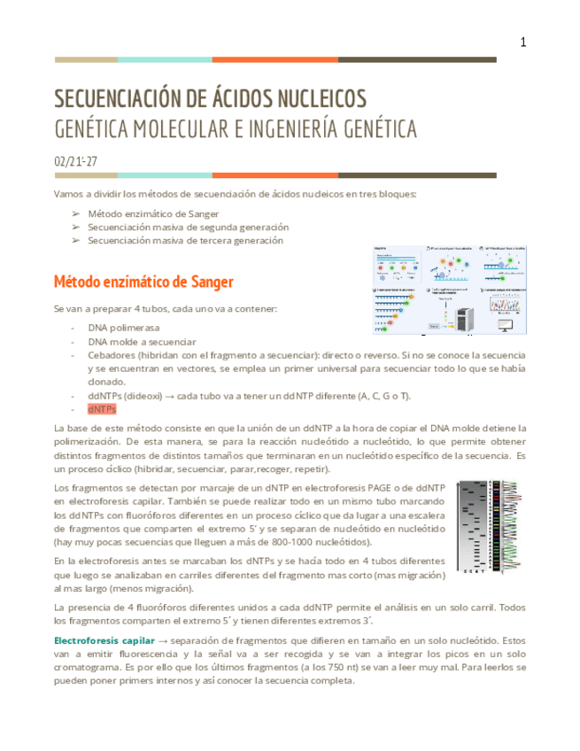 Miniatura del documento T1.3-GM.pdf