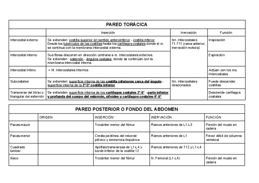 Miniatura del documento Musculos-torax-y-abdomen.pdf