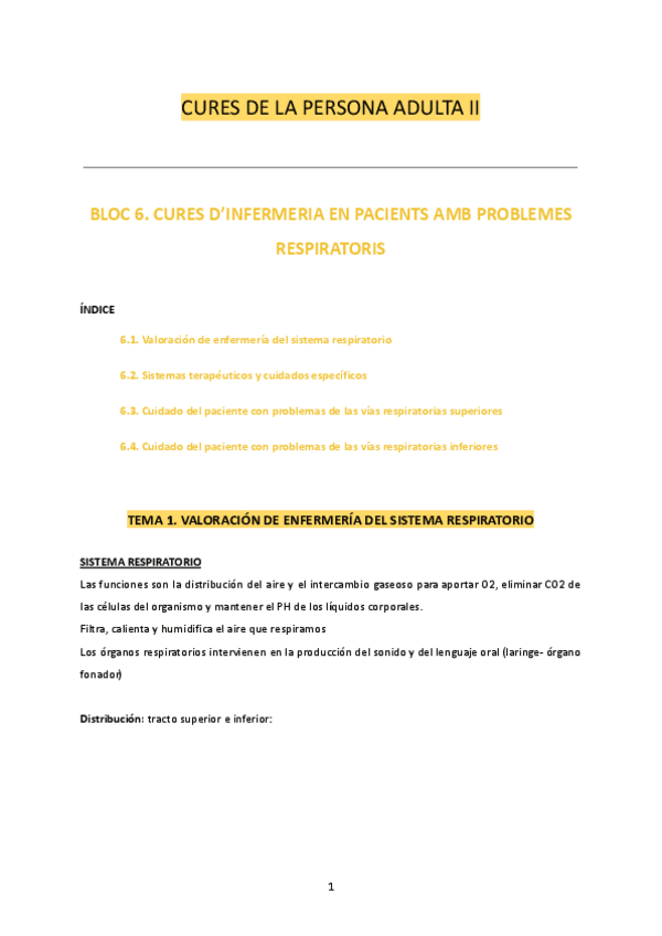 Miniatura del documento TOT-CIPA-II.pdf
