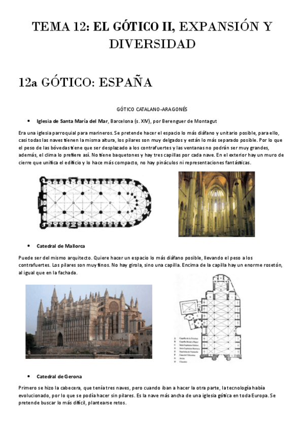 Miniatura del documento TEMA 12. El gótico II.pdf