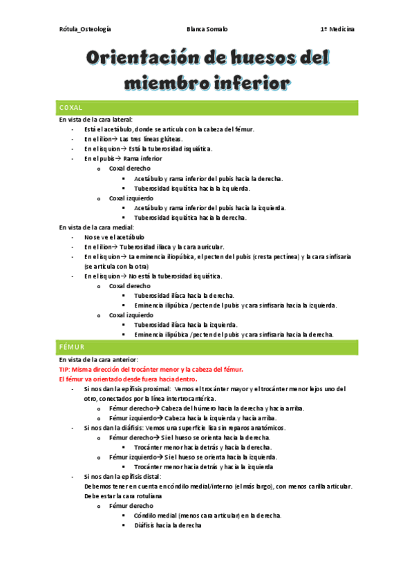 Miniatura del documento Orientacion-de-huesos-del-miembro-inferiorOsteologiaBlancaSomalo.pdf