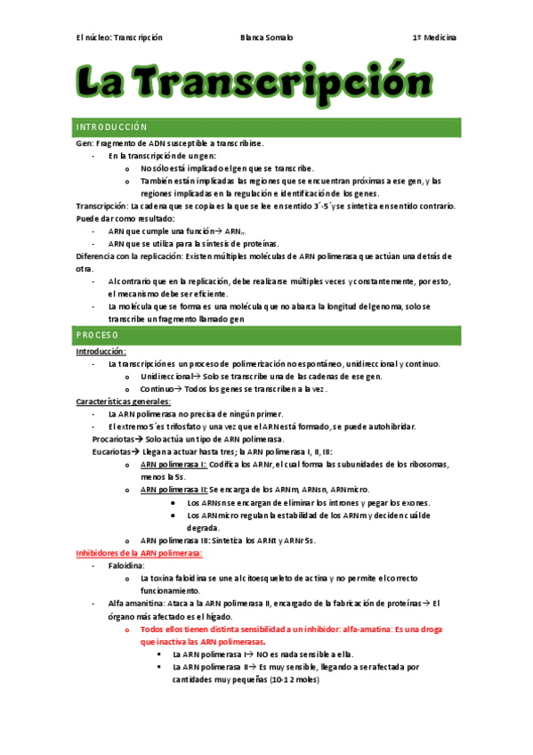 Miniatura del documento Tema-5-TranscripcionBiologiaBlancaSomalo.pdf
