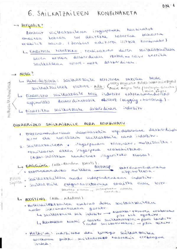 Miniatura del documento DM_LaburpenaTeoria_6/7/8/9/10Gaiak.pdf
