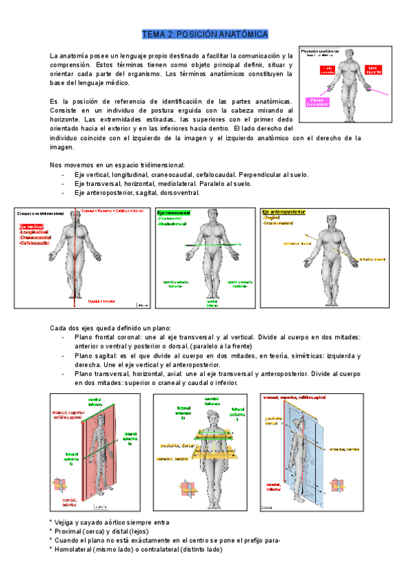 Miniatura del documento TEMA-2.pdf