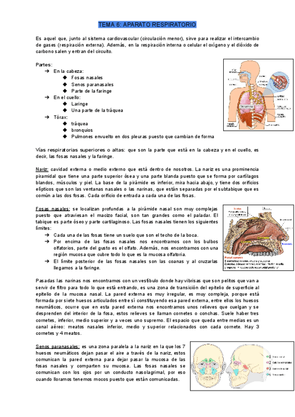 Miniatura del documento TEMA-6.pdf