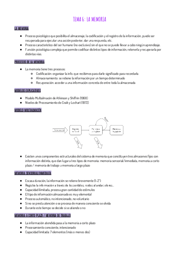 Miniatura del documento RESUMEN-T6.pdf