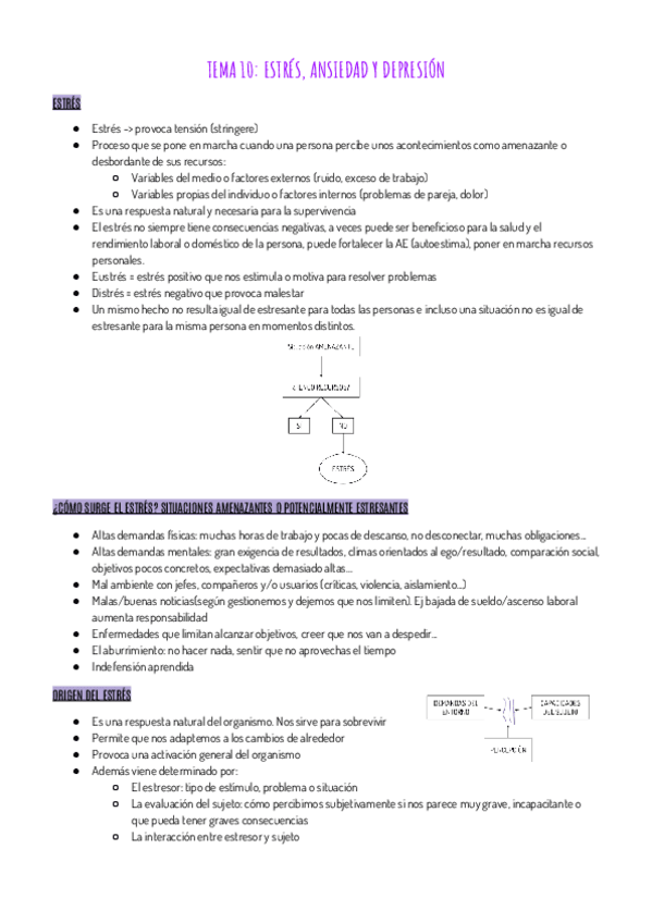 Miniatura del documento RESUMEN-T10.pdf