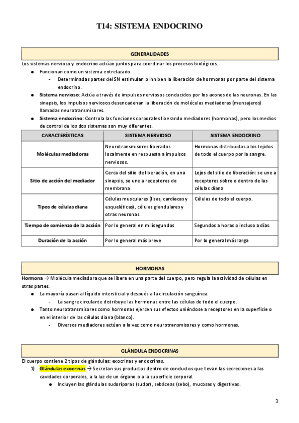 Miniatura del documento T14-SISTEMA-ENDOCRINO.pdf