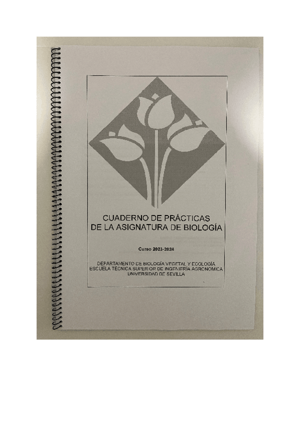 Miniatura del documento Cuadernillo-practicas-cuestiones-resueltas.pdf
