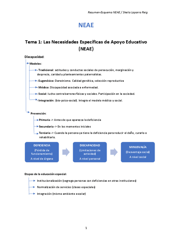 Miniatura del documento RESUMEN-ESQUEMA-completo-NEAE.pdf