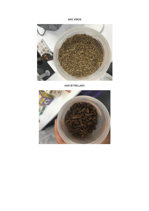 Miniatura del documento Practicas FITO.pdf