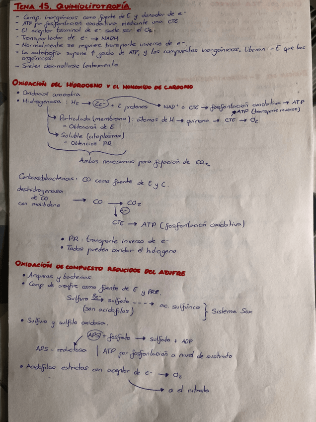 Miniatura del documento Tema-15-Microbiologia.pdf
