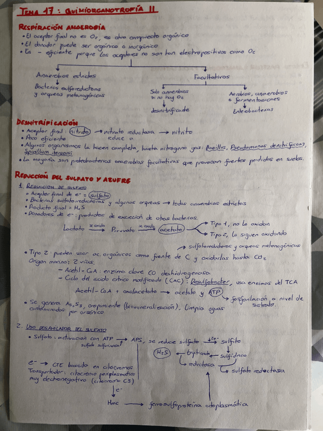 Miniatura del documento Temas-17-y-18-Microbiologia.pdf