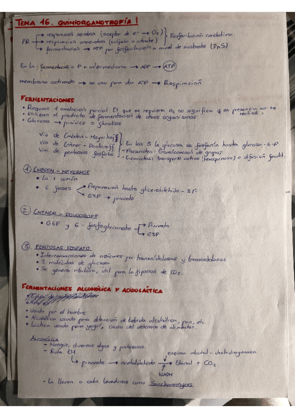Miniatura del documento Tema-16-Microbiologia.pdf
