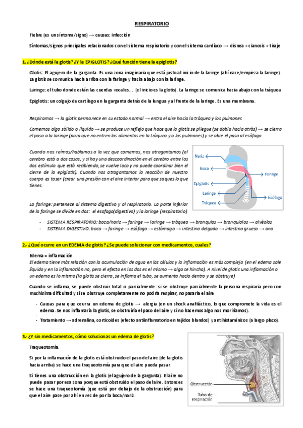 Miniatura del documento APARATO-RESPIRATORIO.pdf