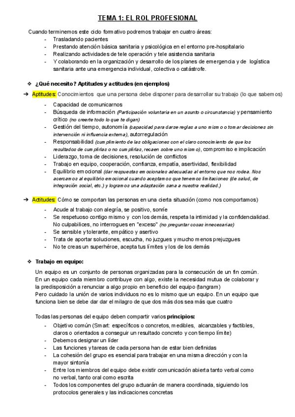 Miniatura del documento ROL-PROFESIONAL.pdf