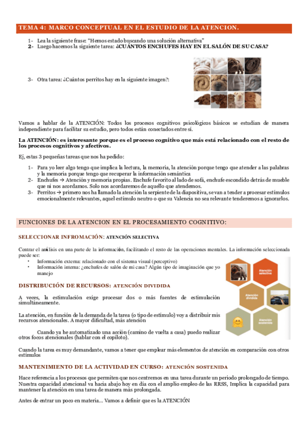 Miniatura del documento TEMARIO-ATENCION-2o-PARCIAL.pdf