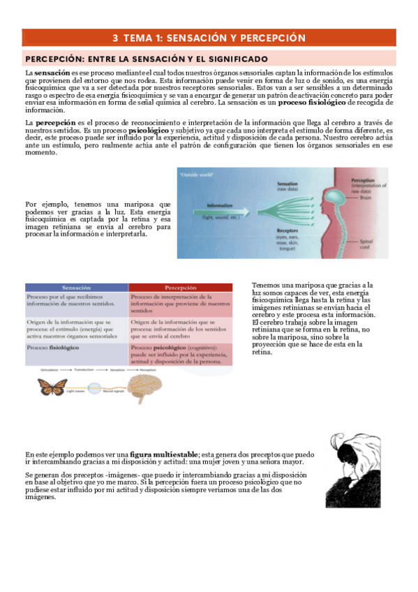 Miniatura del documento TEMARIOPERCEPCION-1o-PARCIAL.pdf
