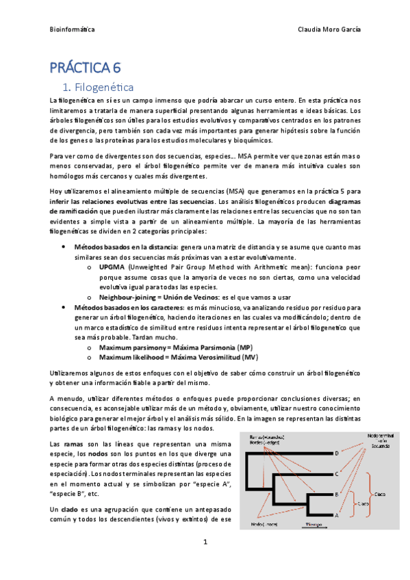 Miniatura del documento Practica-6.pdf