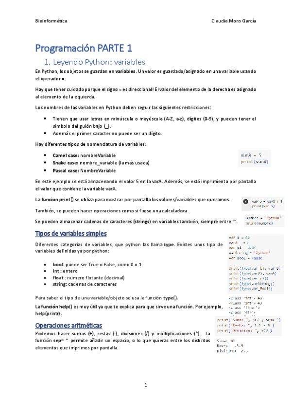 Miniatura del documento Programacion.pdf