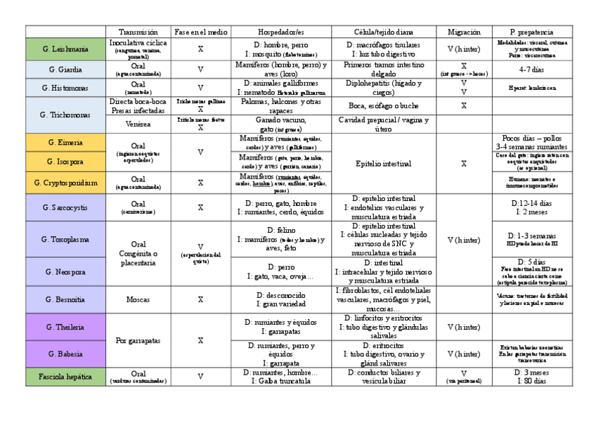 Miniatura del documento TABLA-RESUMEN-CICLOS.pdf