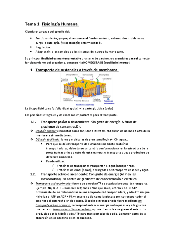 Miniatura del documento APUNTES-PRIMER-PARCIAL-FISIOLOGIA.pdf