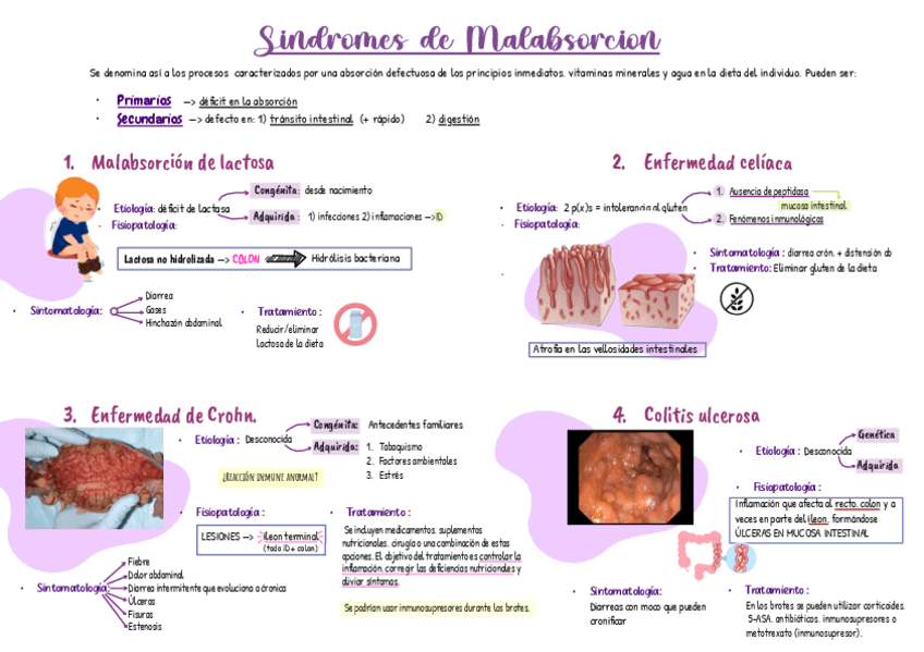 Miniatura del documento Sindromes-de-malabsorcion-esquema.pdf