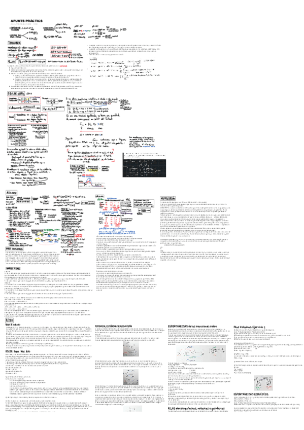 Miniatura del documento APUNTS-PRACTICS-BLOC-2.pdf