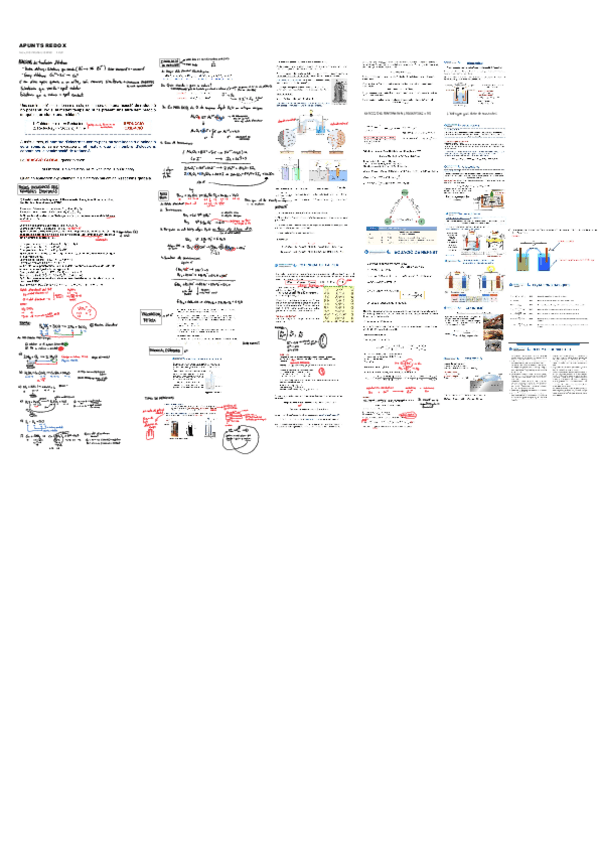 Miniatura del documento APUNTS-REDOX.pdf