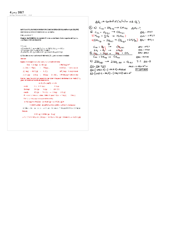 Miniatura del documento RESOLUCIO-4-juny-2017.pdf