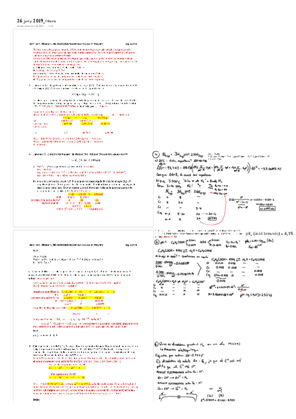 Miniatura del documento RESOLUCIO-26-juny-2019reava.pdf