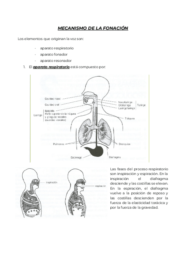 Miniatura del documento A.-Educacion-Vocal-y-Practica-coral.pdf