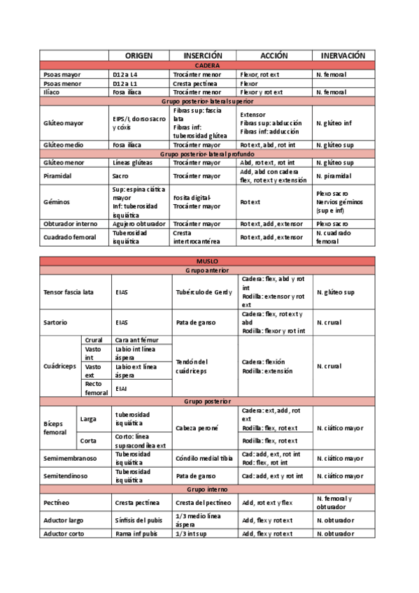Miniatura del documento Miologia-miembro-inf.pdf