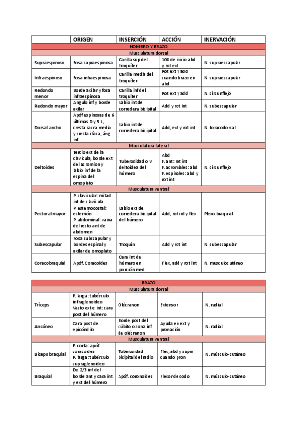 Miniatura del documento Miologia-miembro-sup.pdf