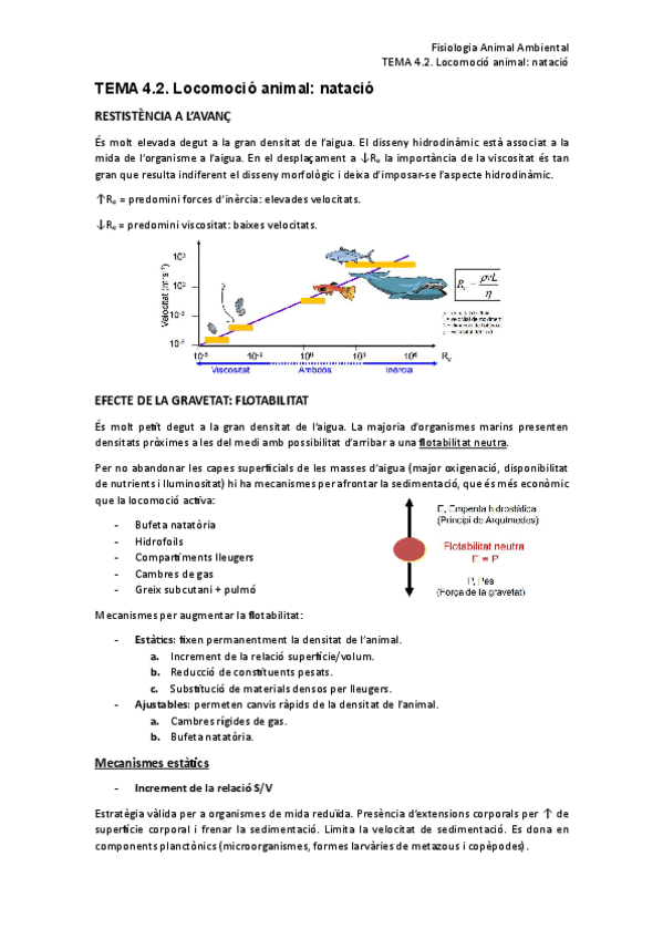 Miniatura del documento 4.2.-Locomocio-animal-Natacio.pdf
