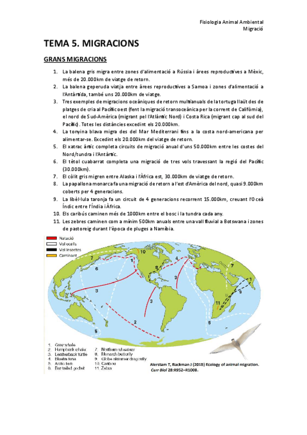 Miniatura del documento 5.-Migracio.pdf