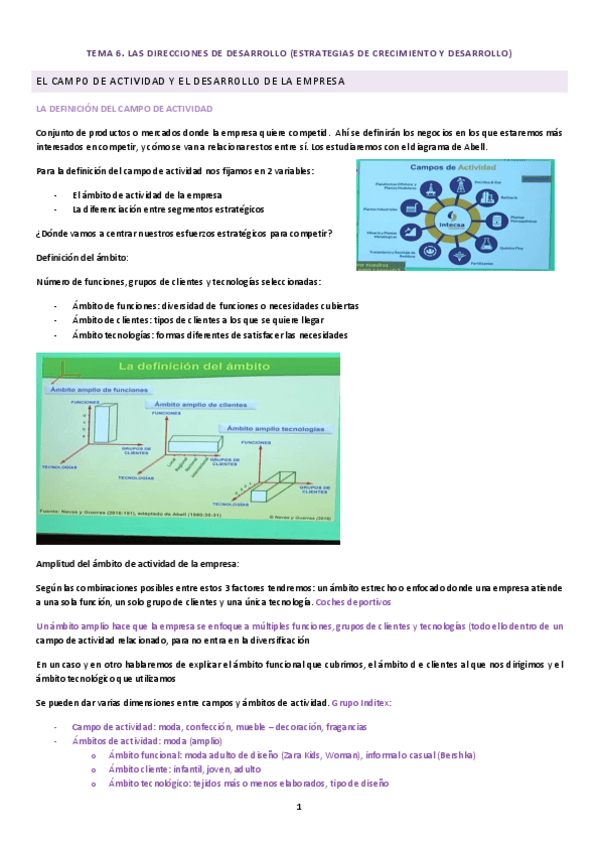 Miniatura del documento Tema-6.-Las-direcciones-de-desarrollo.pdf