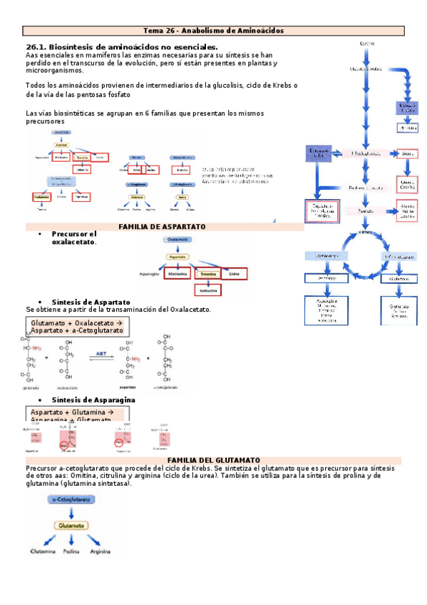 Miniatura del documento Tema-26-30-Bioquimica.docx