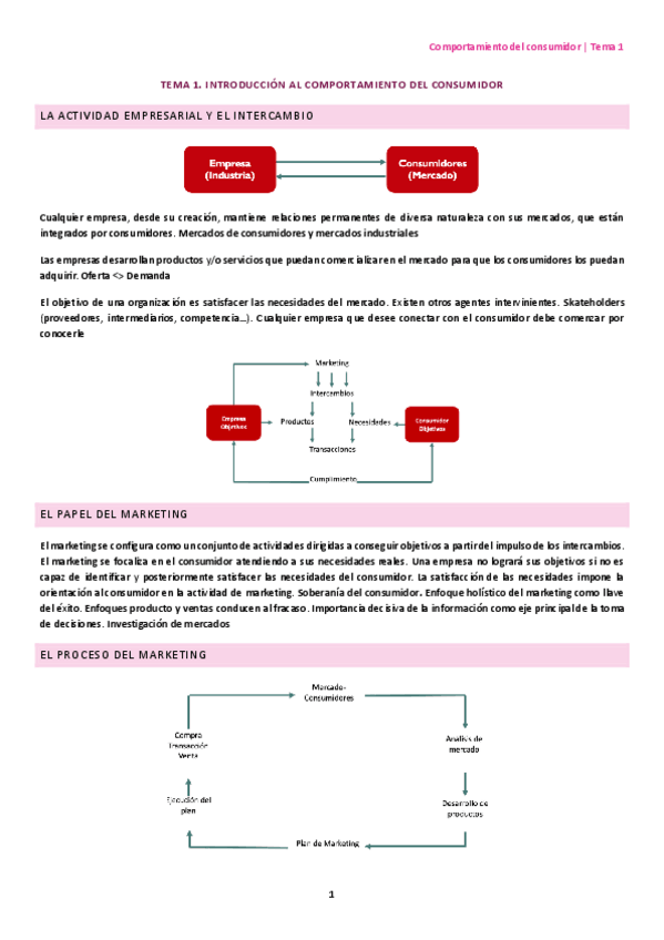 Miniatura del documento Tema-1.-Introduccion-al-comportamiento-del-consumidor.pdf