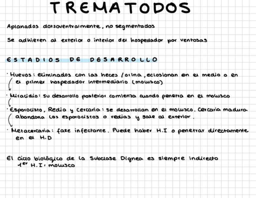 Miniatura del documento Trematodos-T12-13.pdf