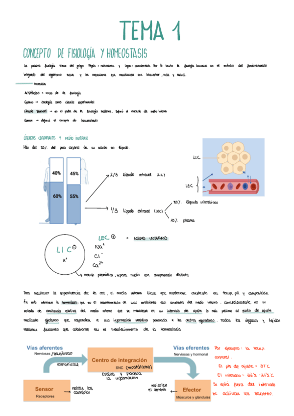 Miniatura del documento TEMA-1.pdf