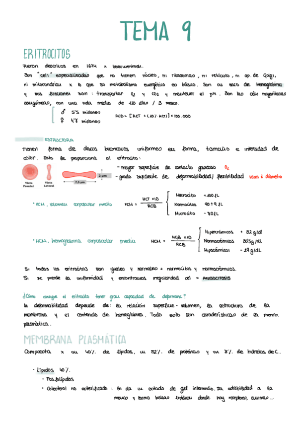 Miniatura del documento TEMA-9.pdf