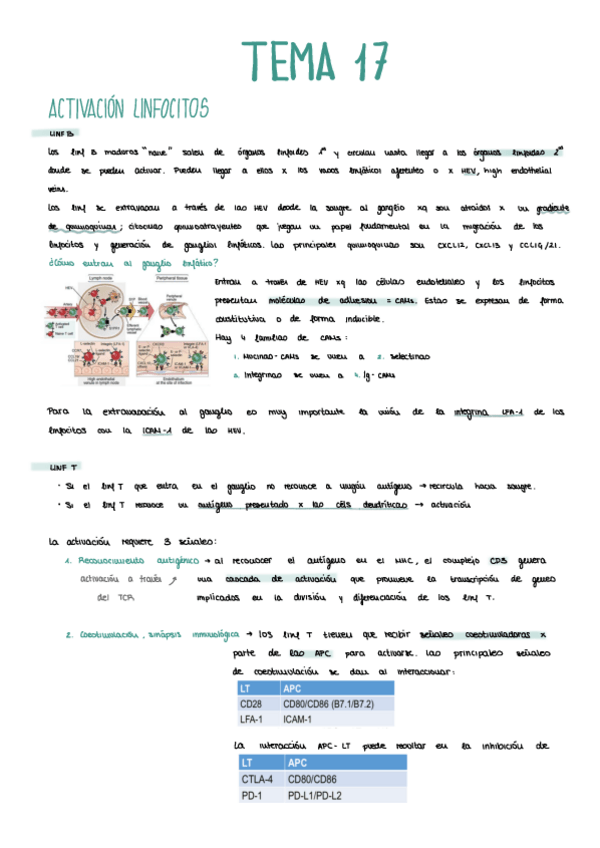 Miniatura del documento TEMA-17.pdf