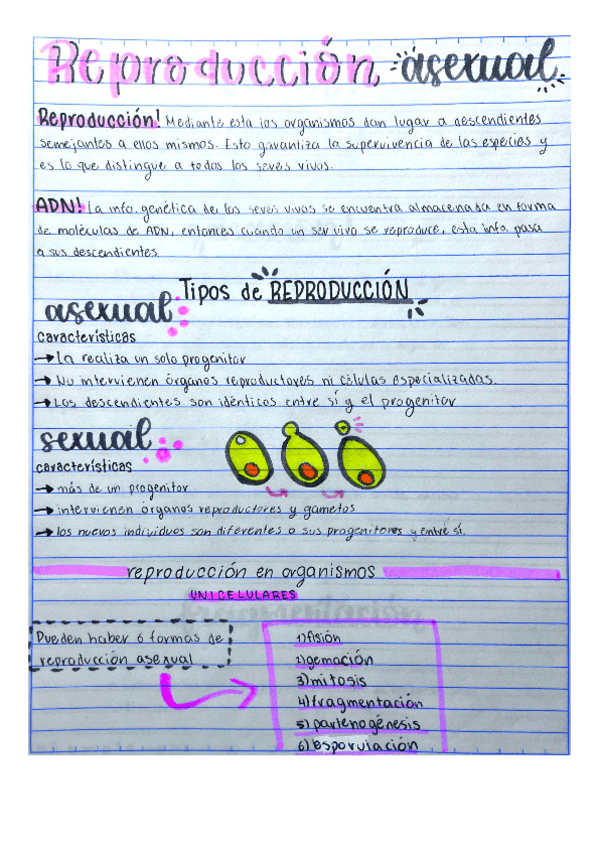 Miniatura del documento REPRODUCCIÓN ASEXUAL.pdf