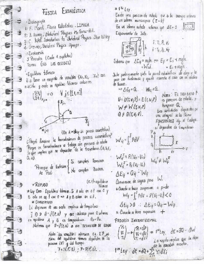 Miniatura del documento Apuntes-Fisica-Estadistica.pdf